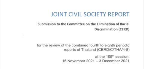 JOINT CIVIL SOCIETY REPORT CERD